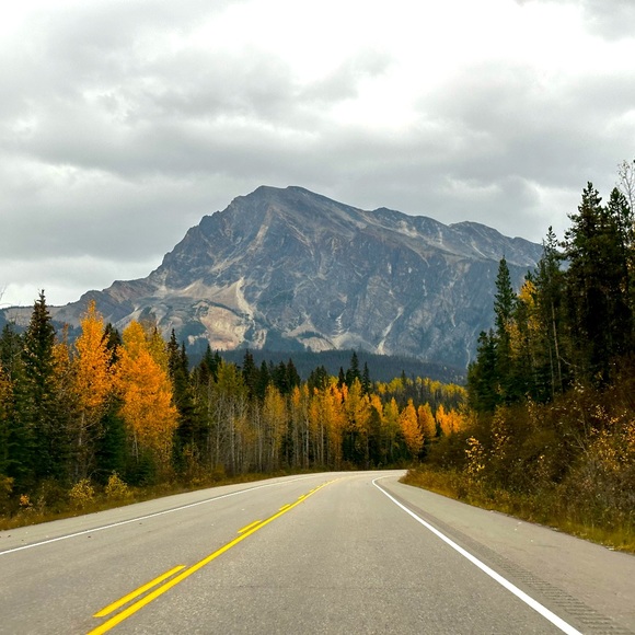 Meet your Posher, Maha - Picture 1 of 1